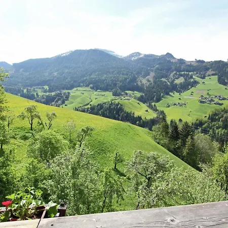 Farm In Gerlosberg Near The Area Apartment